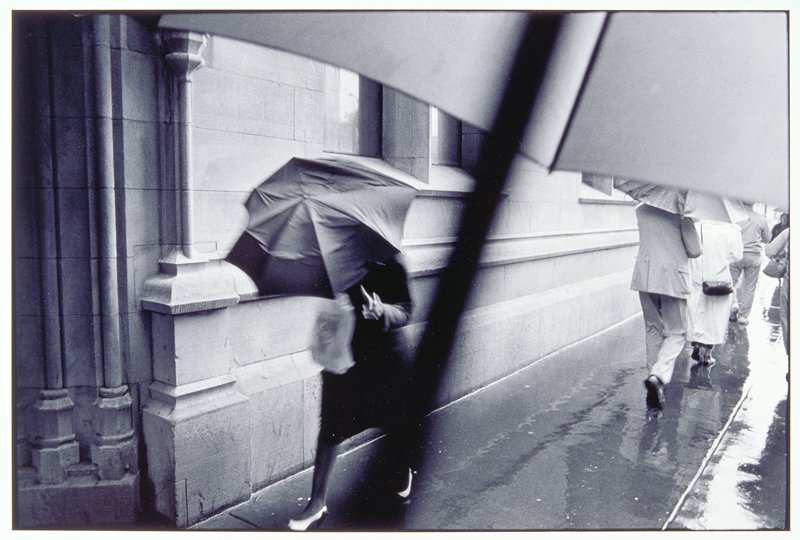 Umbrellas, Chicago, Thomas F. Arndt, 1990
