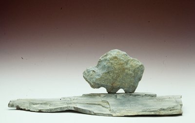 Buffalo, Eugene Ridgeley, Sr., 1991