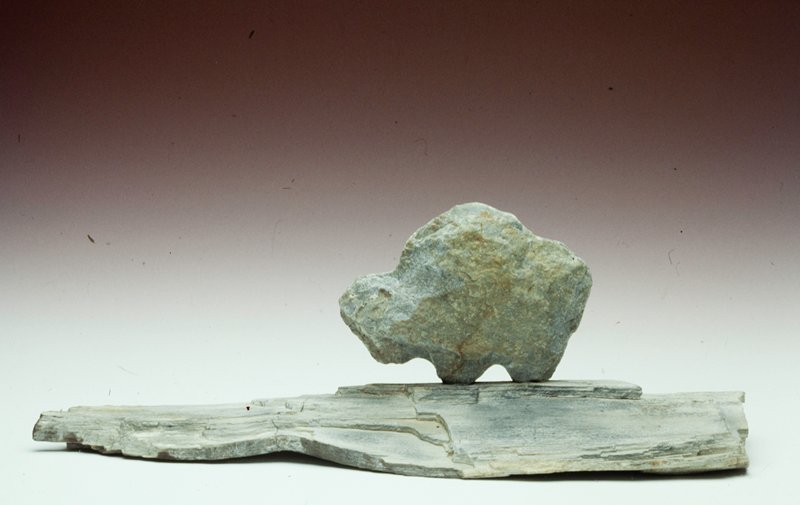 Buffalo, Eugene Ridgeley, Sr., 1991