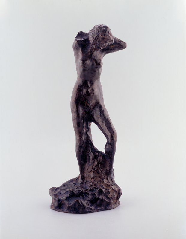 Standing Nude by Pierre Bonnard