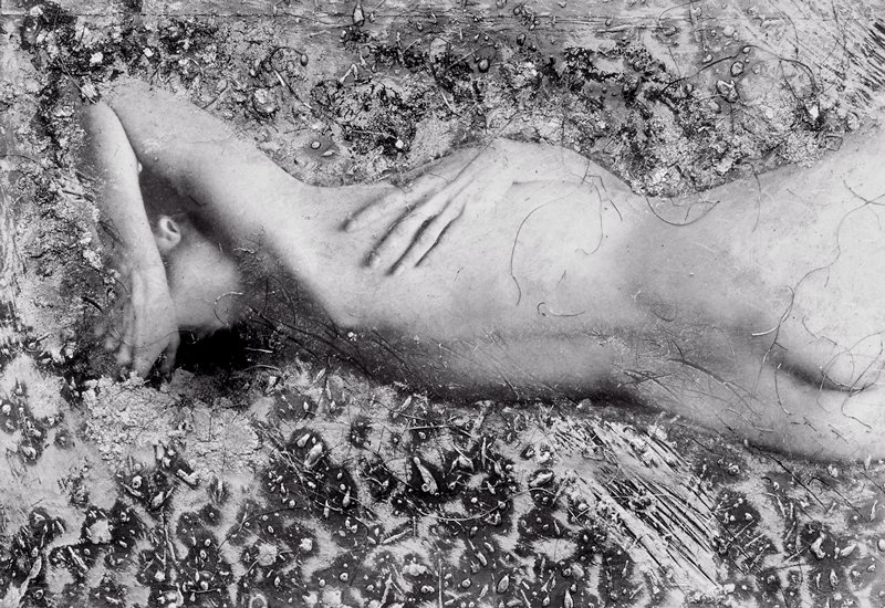 Waking Dream, Judy Coleman, 1988 (printed 1989)