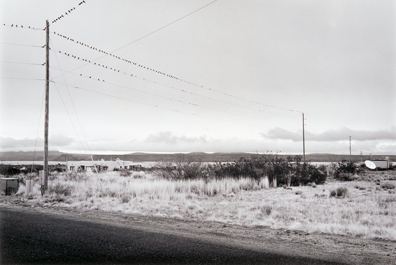 Birds on Telephone Lines, Vicinity of Truth or Consequences, New Mexico, Andrew Baugnet, 1991