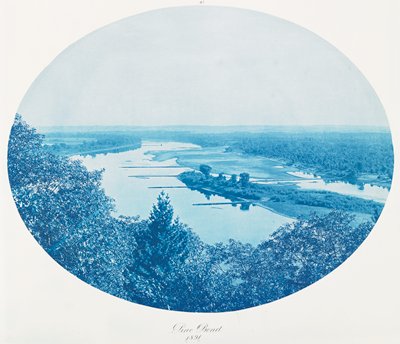 Pine Bend, Henry P. Bosse, 1891