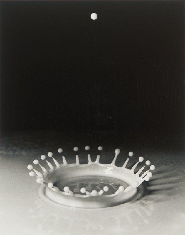 Milk Drop Coronet, Harold E. Edgerton, c. 1936