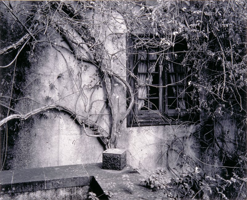 Casa Rica, Canary Islands, Spain, Will M. Agar, 1981