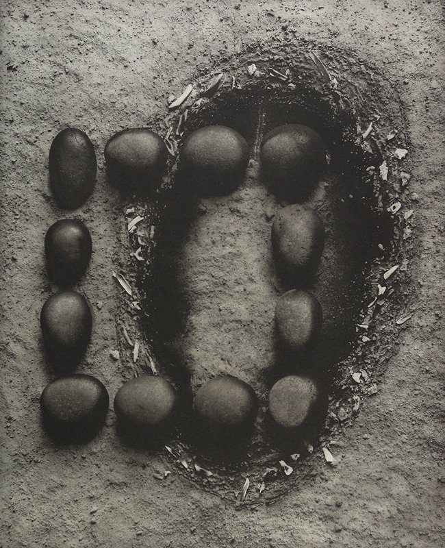 Putting Out Ashes IX, Bernice Ficek-Swenson, 1997