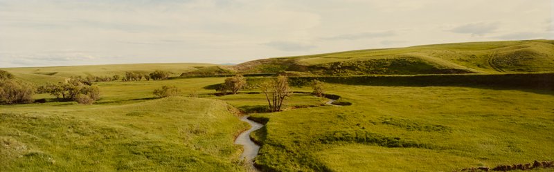 Coulee, Near Havre, Montana, Stuart D. Klipper, 1981
