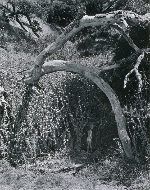 Child and the Unknown, Wynn Bullock, 1956