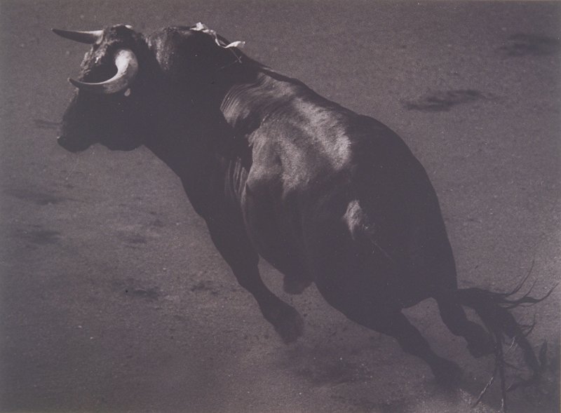 Madrid, Michael Crouser, 1991
