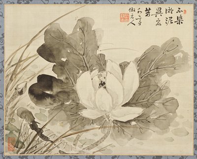 Lotus in Bloom, Taki Katei, 19th century