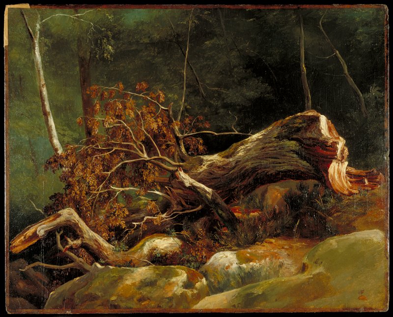 The Fallen Branch, Fontainebleau, Achille Etna Michallon, c. 1816