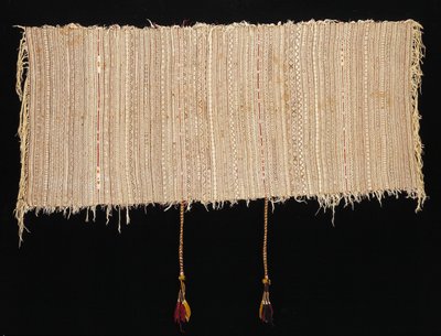 Dokumentasi “Cape (Tabrdouhte)”; Cotton, linen, silk, wool, supplementary weft patterning. Minneapolis Institute of Art.