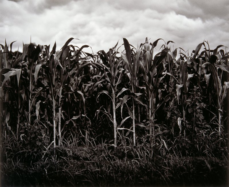 Vicinity of Hudson, Wisconsin, Andrew Baugnet, 1989