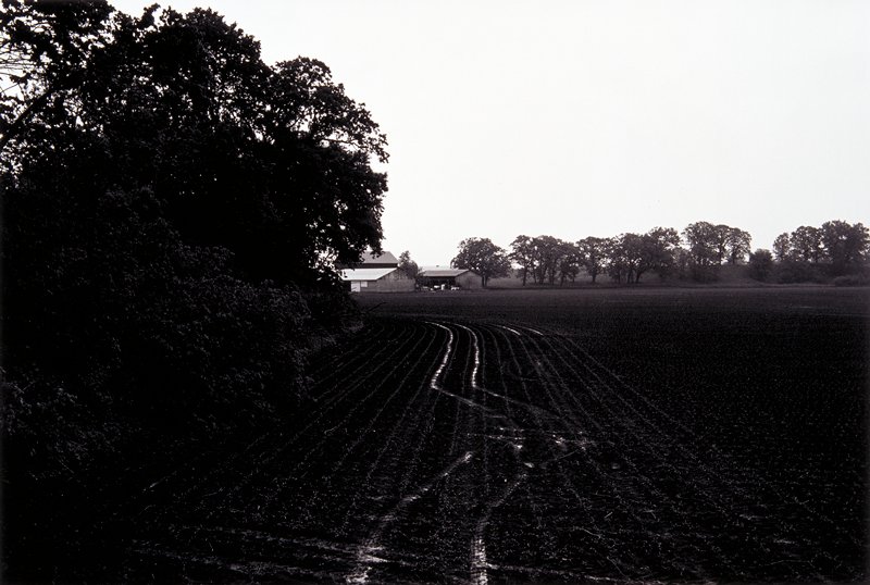 Kellogg, Minnesota, Andrew Baugnet, 1996