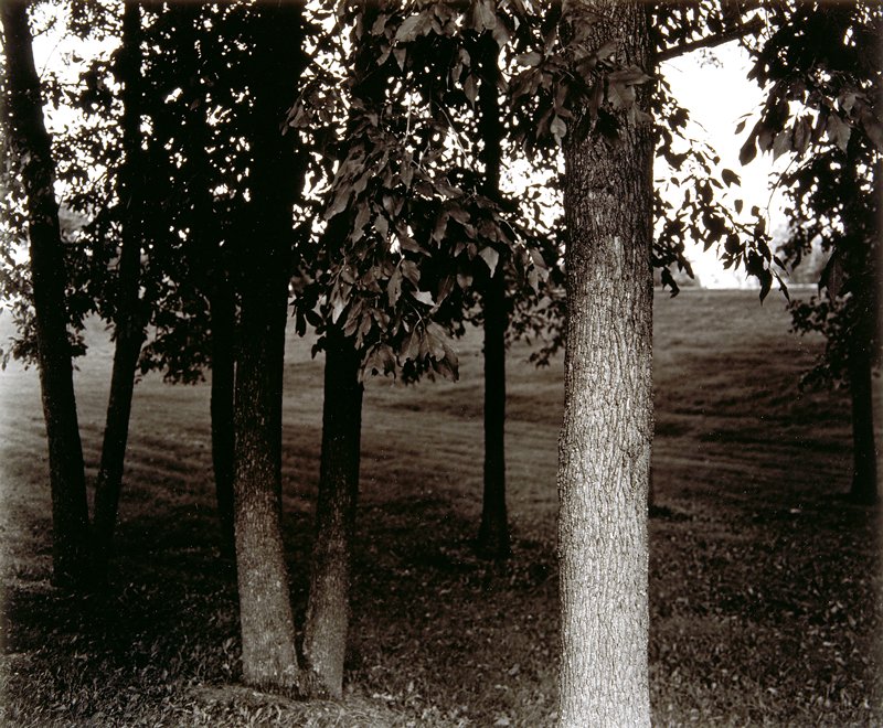 Goodhue County, Minnesota, Andrew Baugnet, 1997