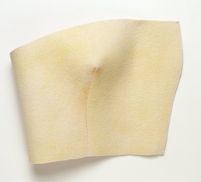 Short Top, Judith Shea, 1981