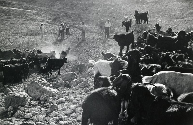El Muhraka, Israel, David Seymour, 20th century