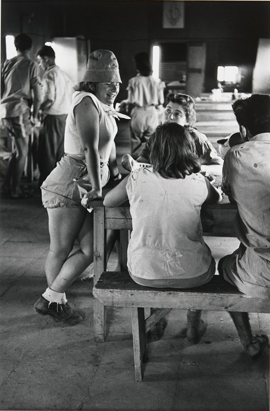Nahal Kibbutz in the Huleh Valley, Israel, David Seymour, 1952