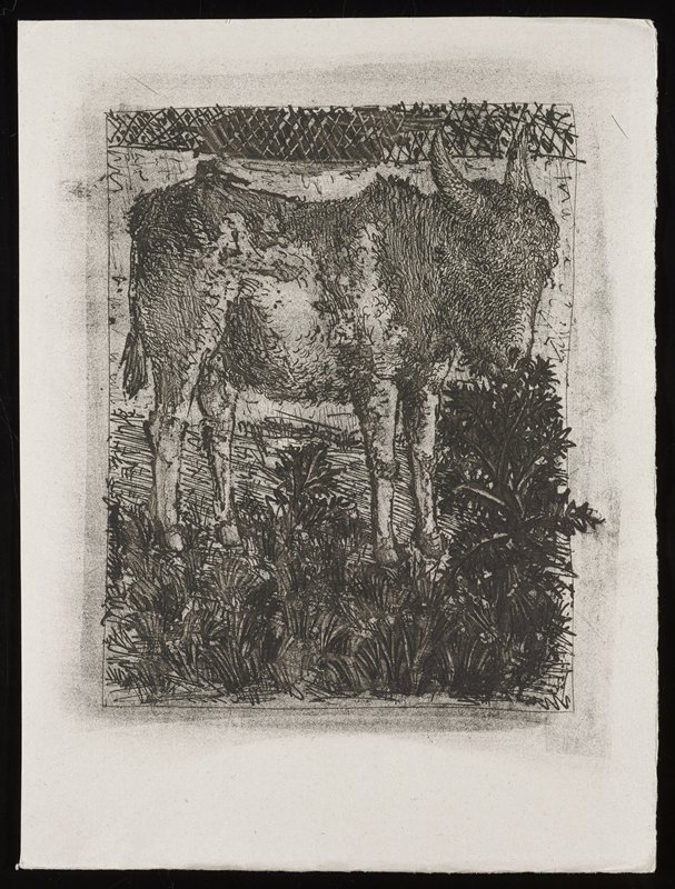 The Donkey, from Histoire Naturelle (Natural History), Пабло Пикассо, 1942