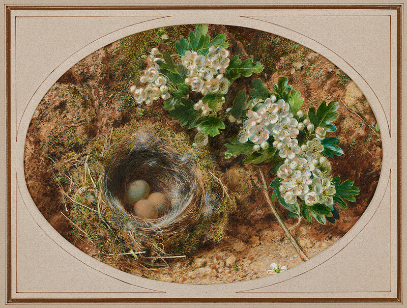 Still Life with Bird’s Nest and Hawthorne, William Henry Hunt, c. 1850