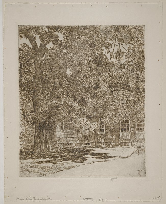 Giant Elm, Easthampton, Childe Hassam, 1929