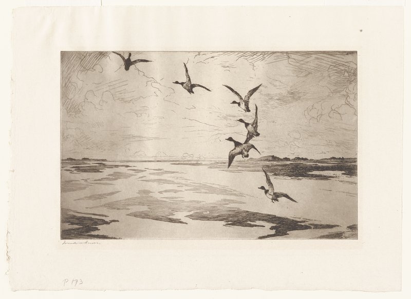Wide Marshes, Frank Weston Benson, 1920