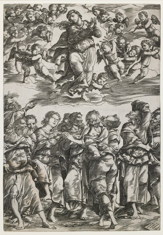 The Assumption of the Virgin, Domenico Campagnola, 1517