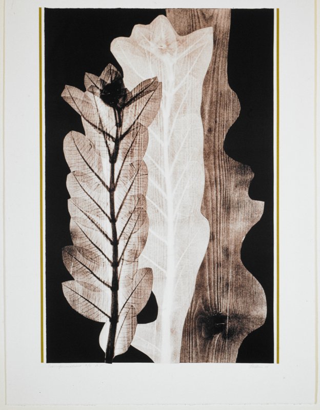Transformations, Eugene Larkin, 1978