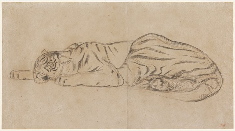 Royal Tiger, Eugène Delacroix, 1829