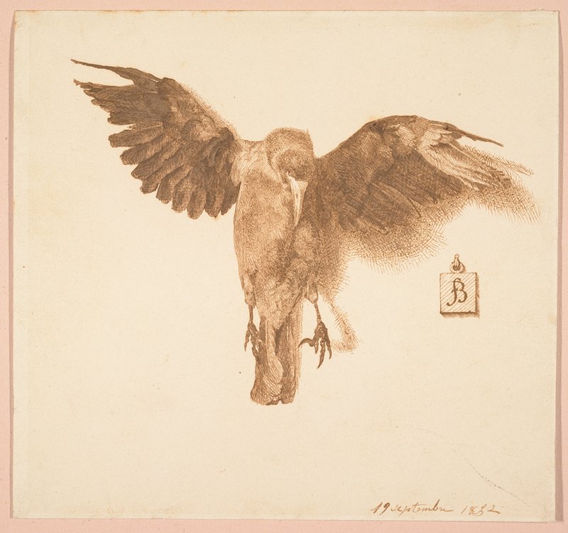 Bird (Crow), Félix Bracquemond, 1852