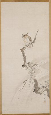 An Owl Perched in a Tree, Hanabusa Itchō, c. 1710