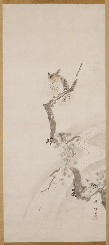 An Owl Perched in a Tree, Hanabusa Itchō, c. 1710