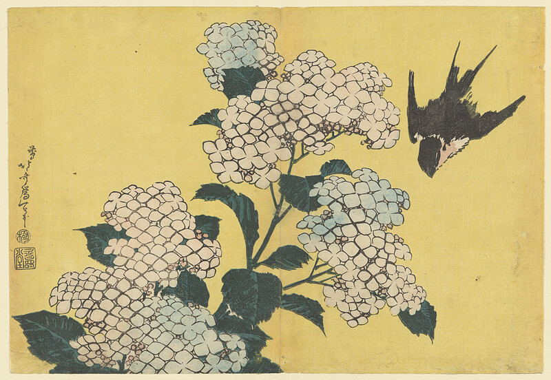Hydrangeas and Swallow, Katsushika Hokusai; Publisher