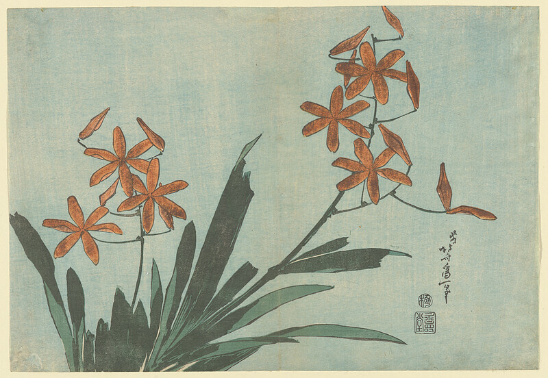 Leopard Lily, Katsushika Hokusai, c. 1833–34