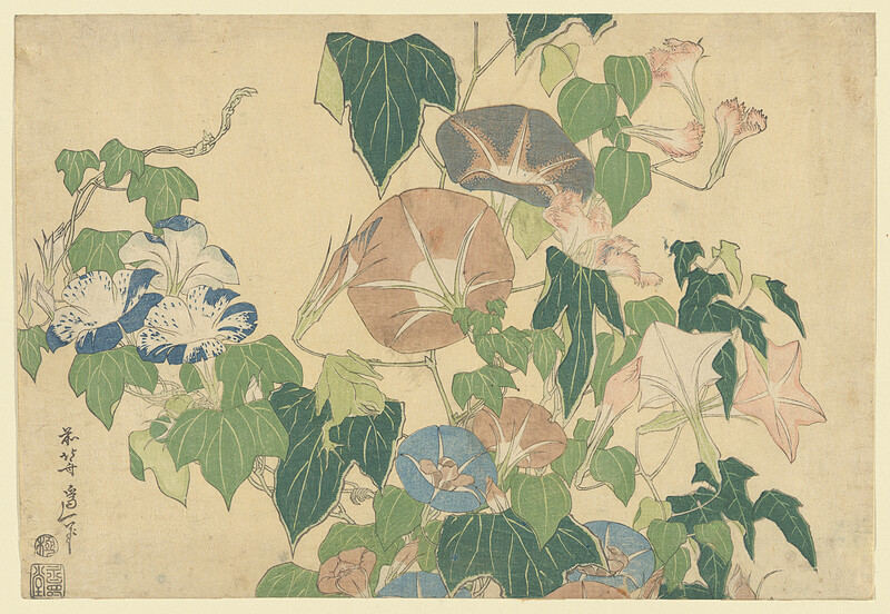 Morning Glories and Tree Frog, Katsushika Hokusai; Publisher