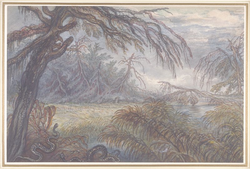Forest and Swamp, Raphael Lamar West, c. 1802
