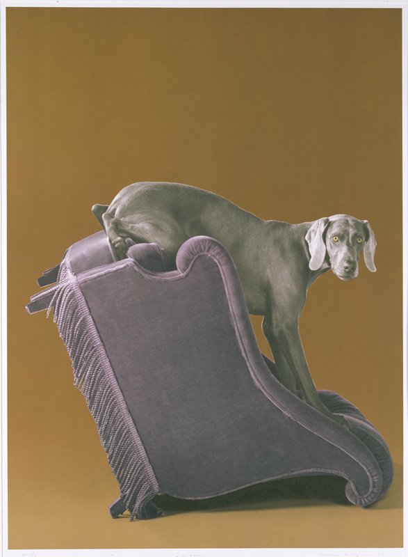 Sideview, William Wegman; Publisher: Akasha Studio, Minneapolis | Mia