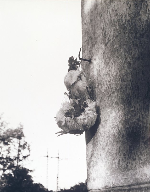 Who Will Wake Up the Day?, Eva Fuka, 1959