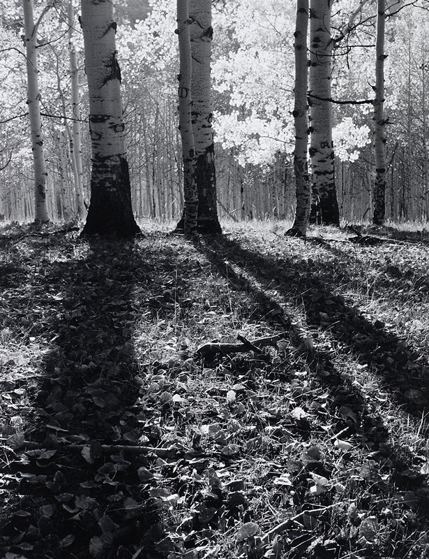 Untitled, Henry E. Gilpin, 1988