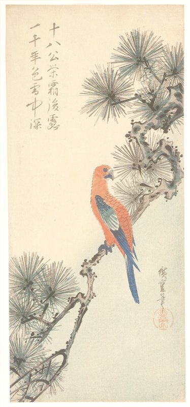 Macaw on Pine Branch, Utagawa Hiroshige, early 1830s