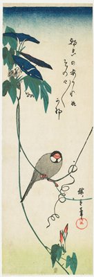 Dokumentasi “Morning Glories and Finch”; Woodblock print (nishiki-e), ink and color on paper. Minneapolis Institute of Art.