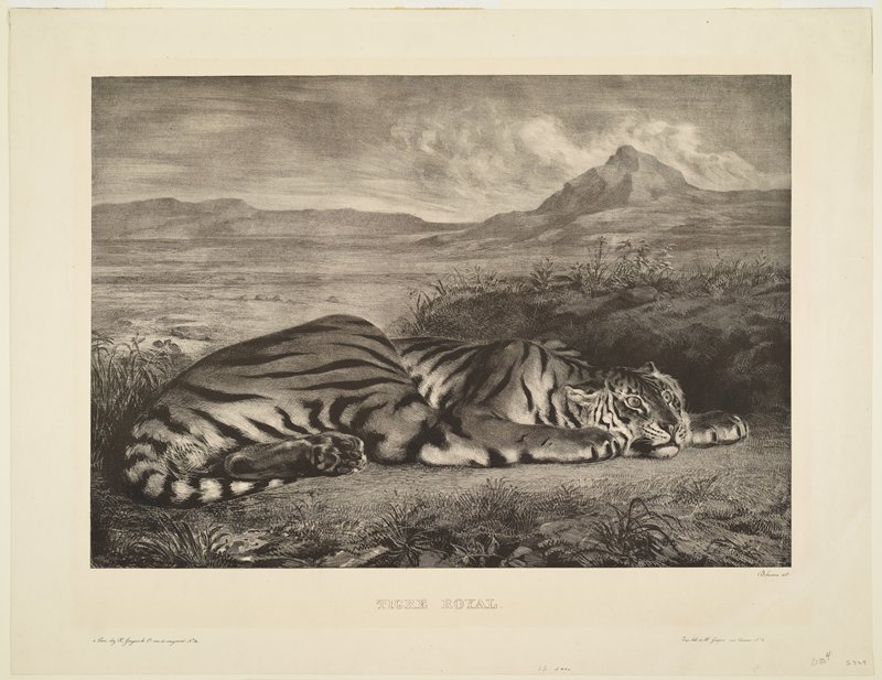 Royal Tiger, Eugène Delacroix, 1829–30