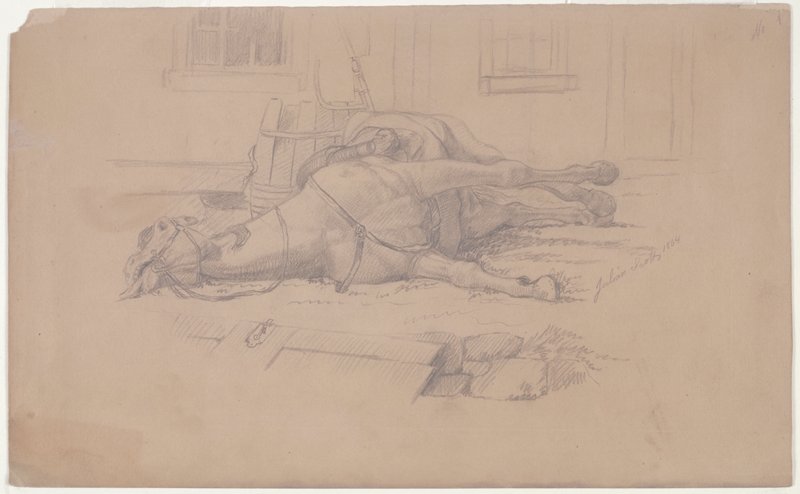 Dead Horse, Julian Scott, 1864