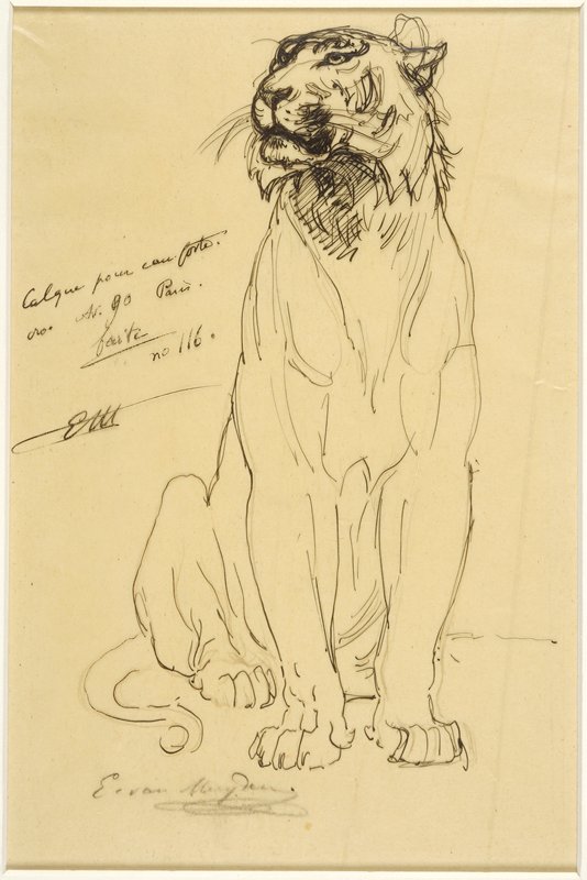 Seated Tiger, Evert van Muyden, 19th century