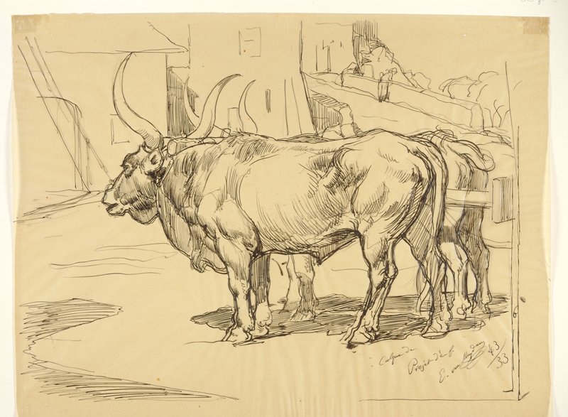 Roman Oxen, Evert van Muyden, 19th-20th century
