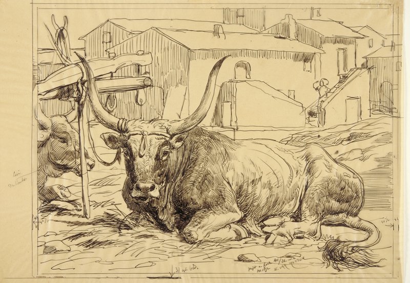 Roman Bull Lying Down, Evert van Muyden, 19th-20th century