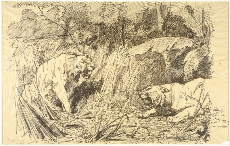 Tigers Fighting, Evert van Muyden, 19th century