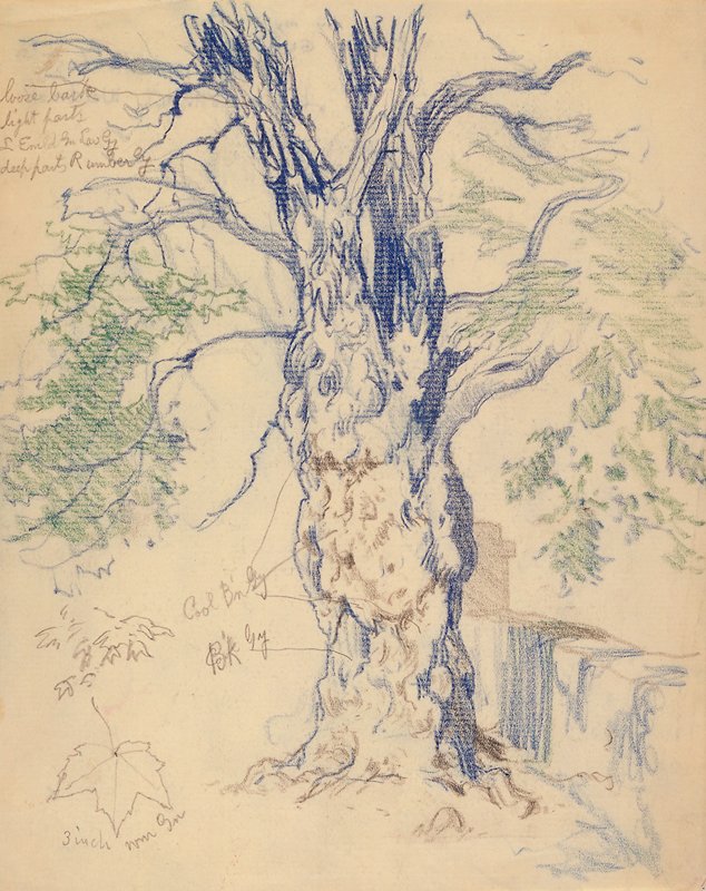 Study of a Tree, Edward Henry Potthast, 19th-20th century