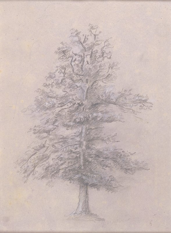 Tree Study, Théodore Rousseau, 1825