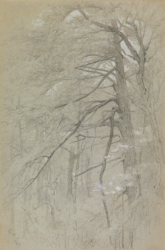 Tree Study, Jervis McEntee, 1869